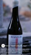 Vino Rosato Basilio