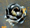 Rosa in ferro